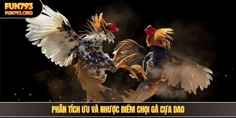 Phân tích ưu và nhược điểm chọi gà cựa dao